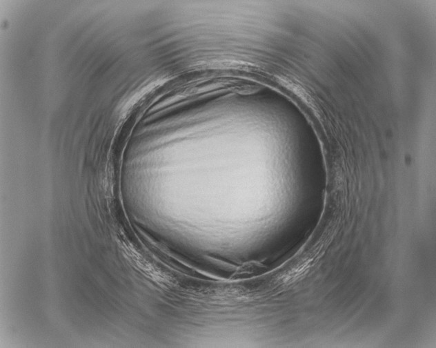 X0000059090979200510211603