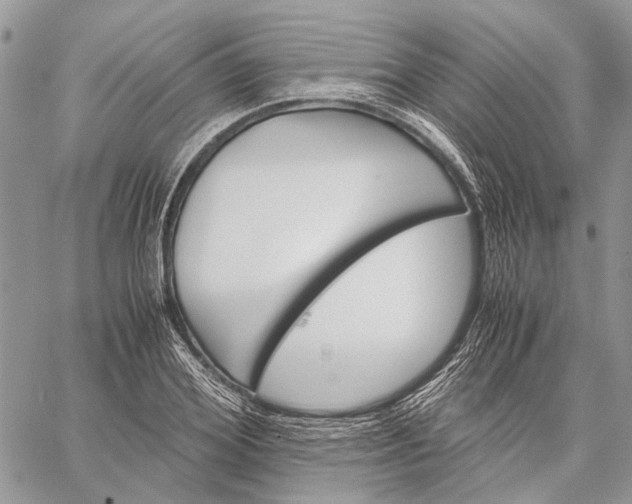 X0000059090980200510211603