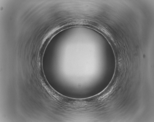 X0000059090981200510211603