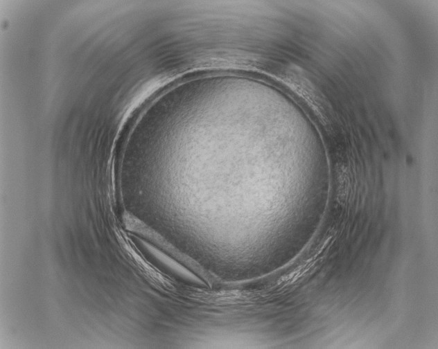 X0000059090982200510211602