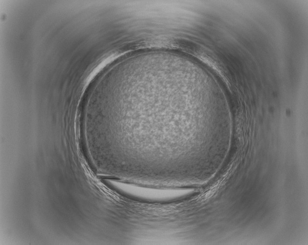 X0000059090983200510211602