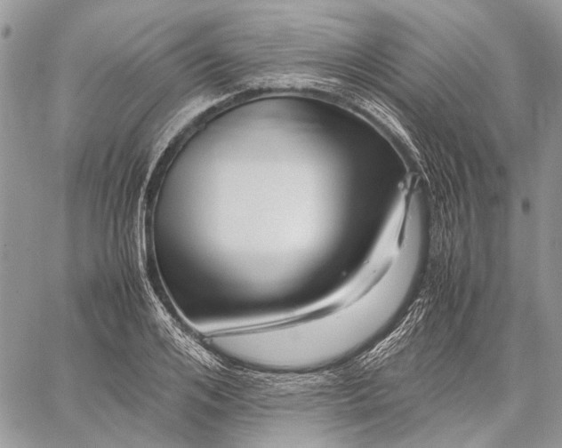 X0000059090984200510211602