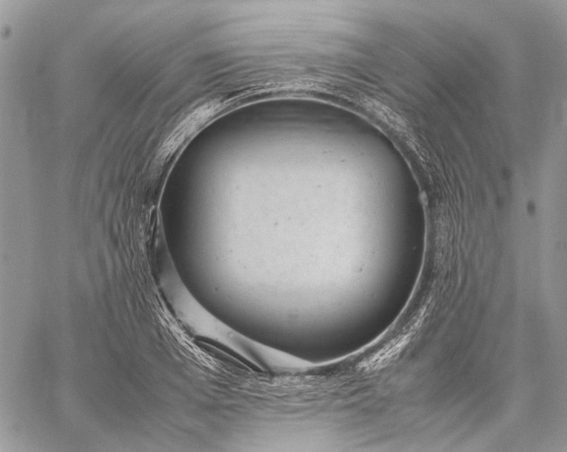 X0000059090985200510211602