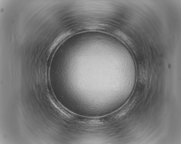 X0000059090986200510211602