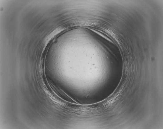 X0000059090987200510211602