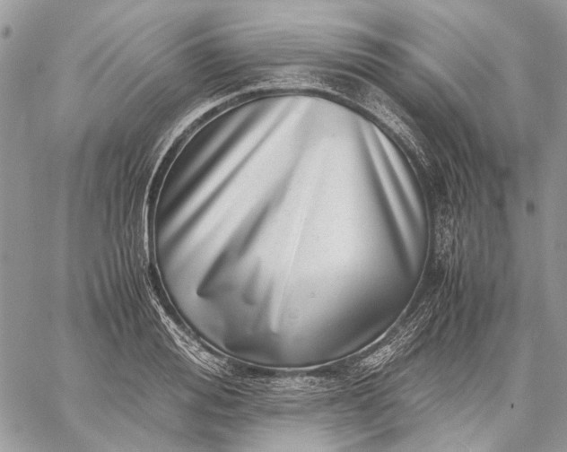 X0000059090988200510211602