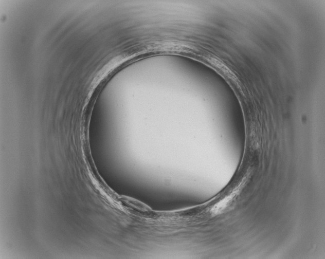 X0000059090989200510211602