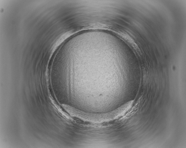 X0000059090990200510211602