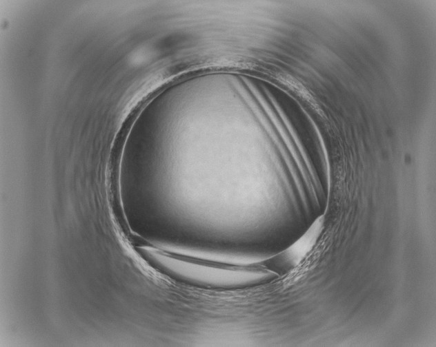 X0000059090991200510211602