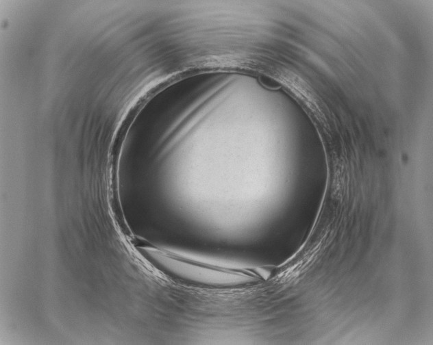 X0000059090992200510211602