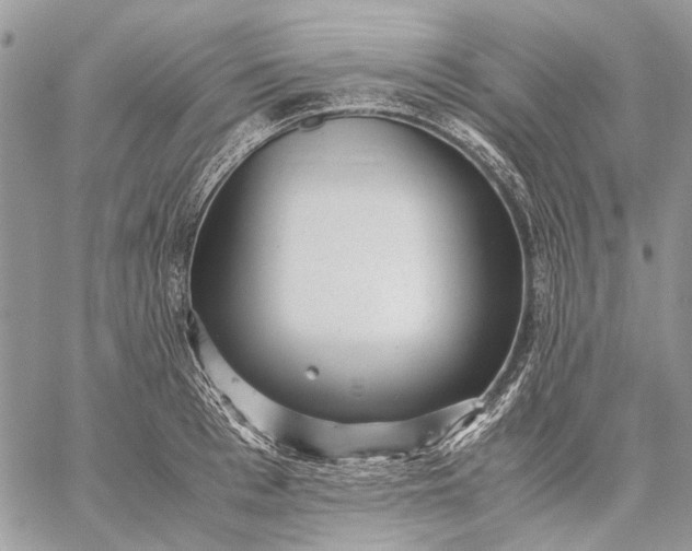 X0000059090993200510211602