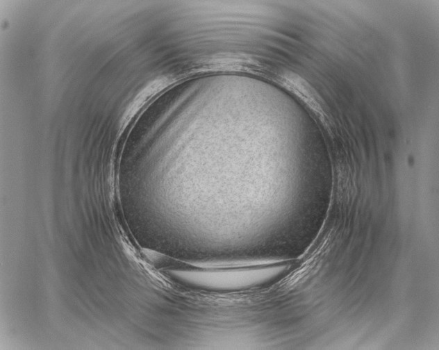 X0000059090994200510211602