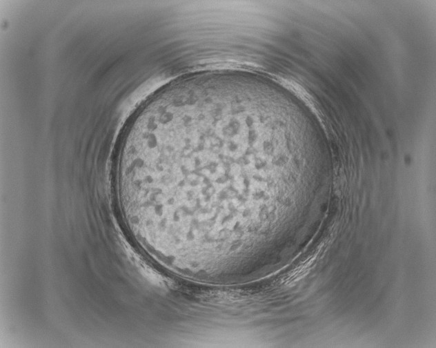 X0000059090995200510211602