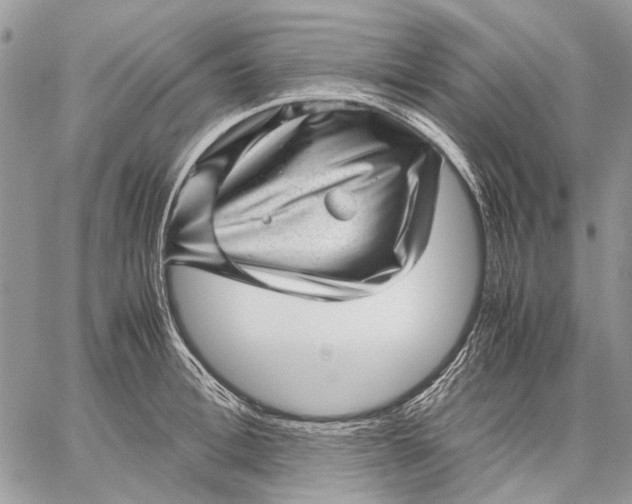 X0000059090996200510211602