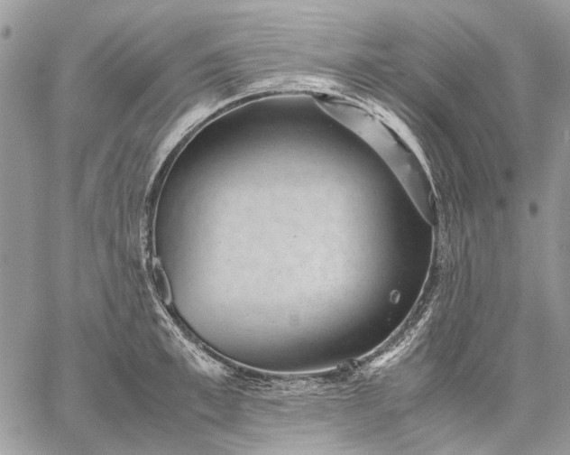 X0000059090997200510211602