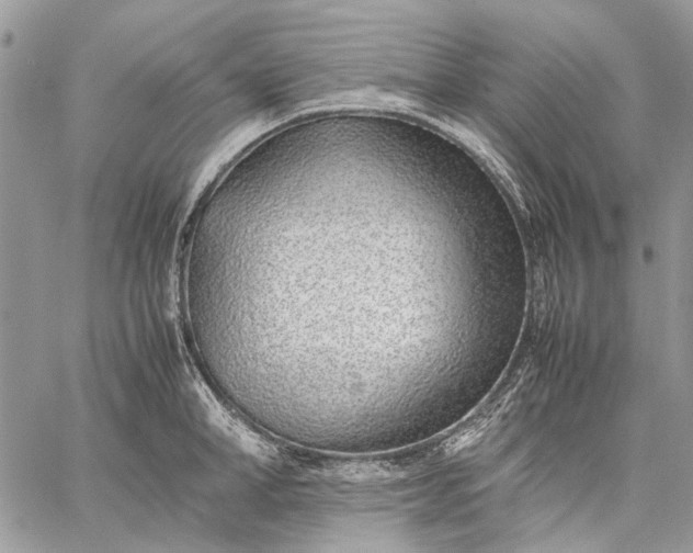 X0000059090998200510211602