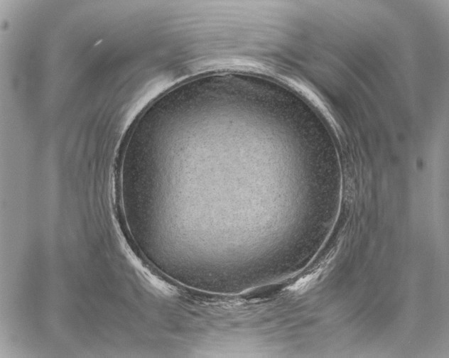 X0000059090999200510211602