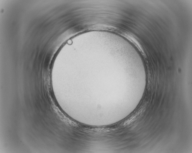 X0000059091000200510211602