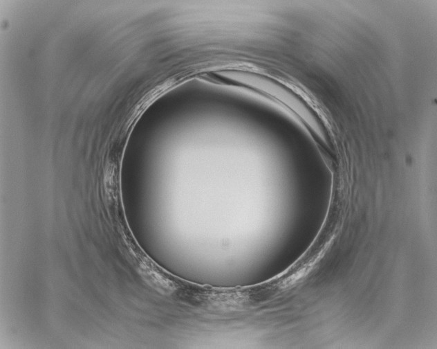 X0000059091001200510211602