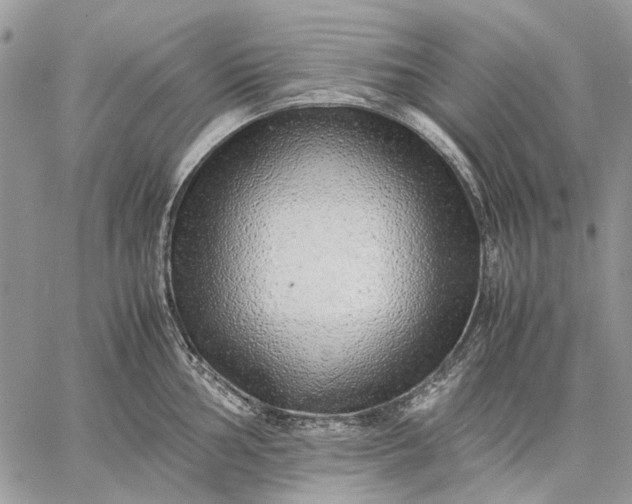 X0000059091002200510211602