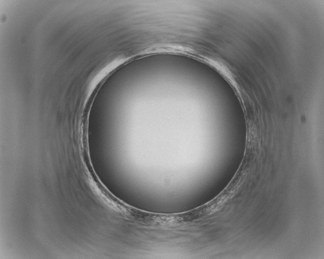 X0000059091003200510211602