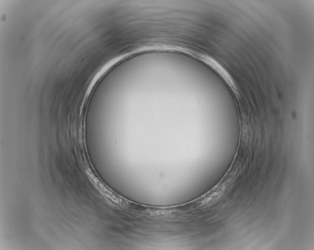 X0000059091004200510211602