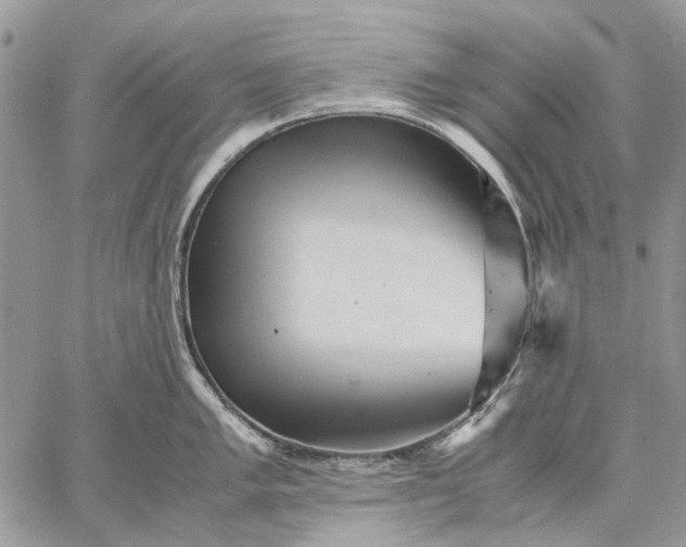 X0000059091005200510211602