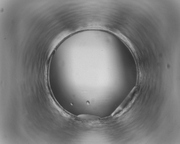 X0000059091006200510211602