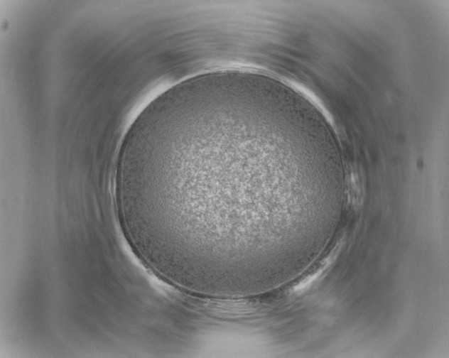 X0000059091007200510211602