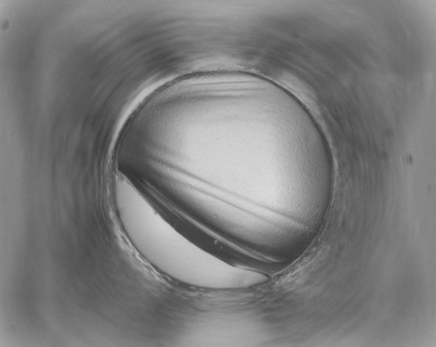 X0000059091008200510211602