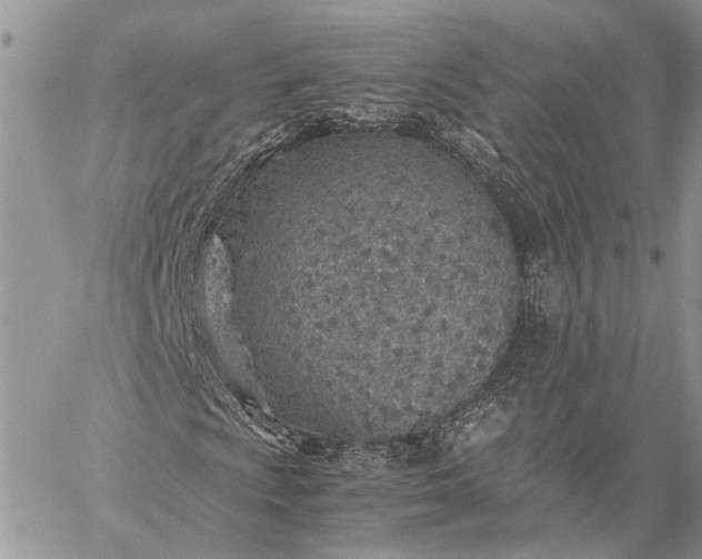 X0000059091009200510211601