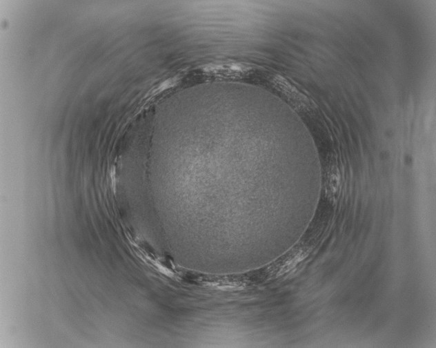 X0000059091010200510211601