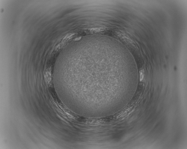 X0000059091011200510211601