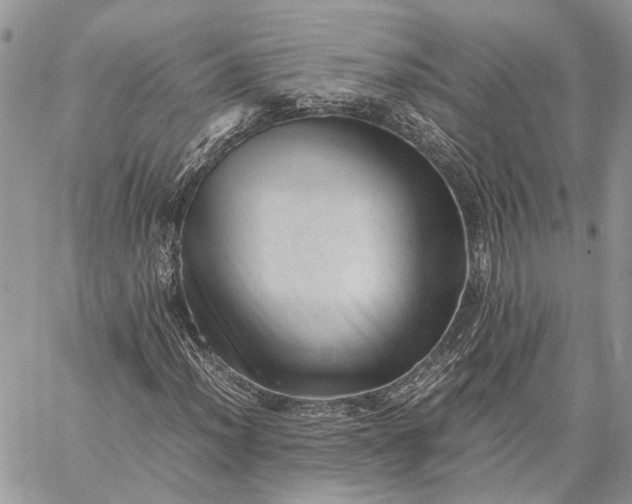 X0000059091012200510211601