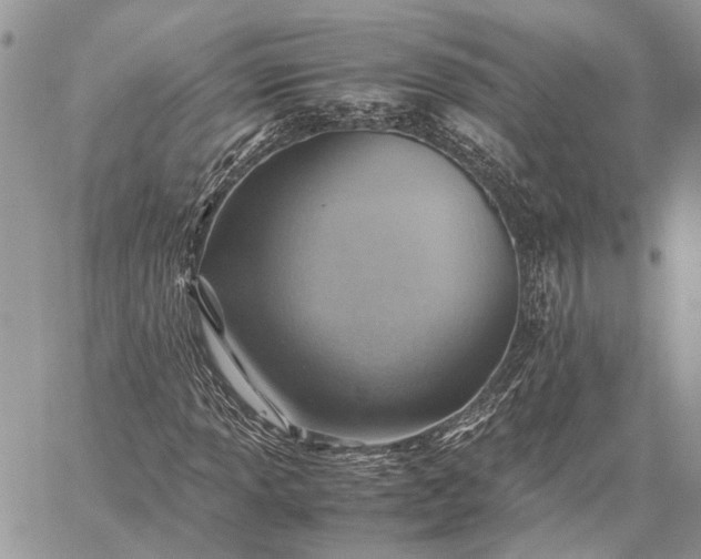 X0000059091013200510211601