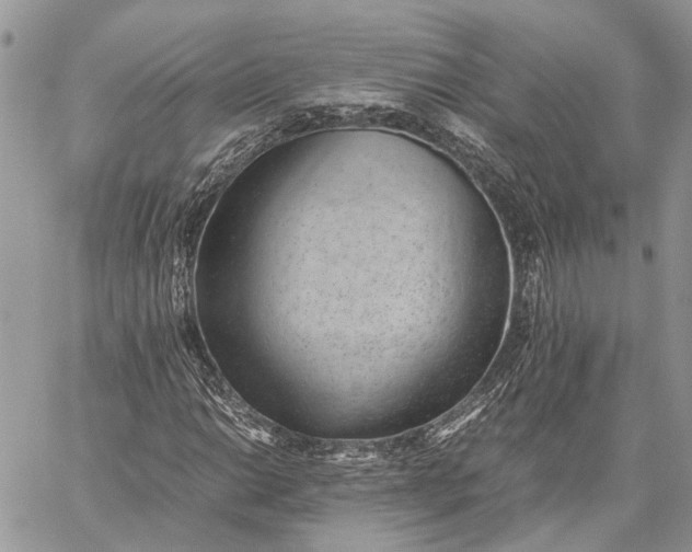 X0000059091014200510211601