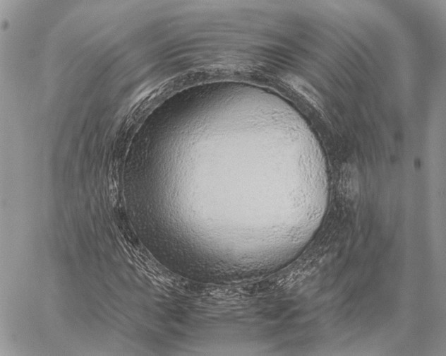 X0000059091015200510211601