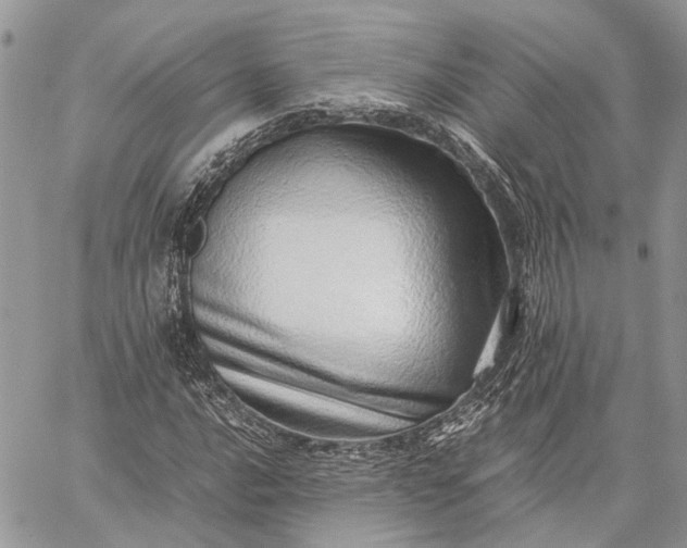 X0000059091016200510211601