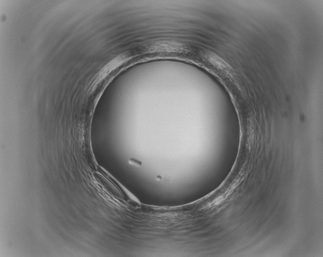 X0000059091017200510211601