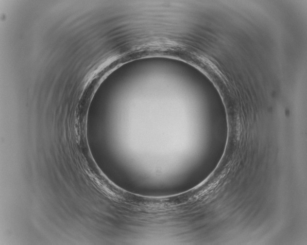 X0000059091018200510211601