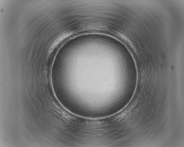 X0000059091019200510211601