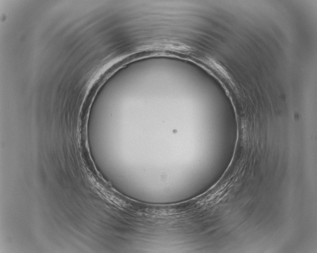 X0000059091020200510211601