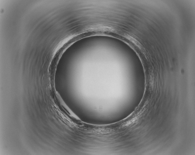 X0000059091022200510211601