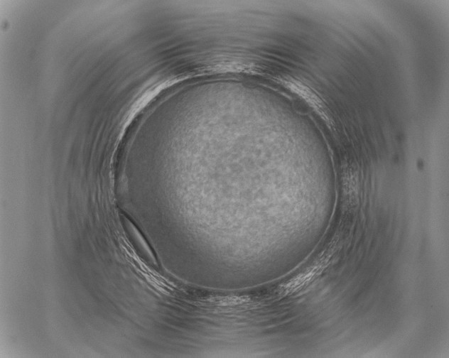 X0000059091023200510211601