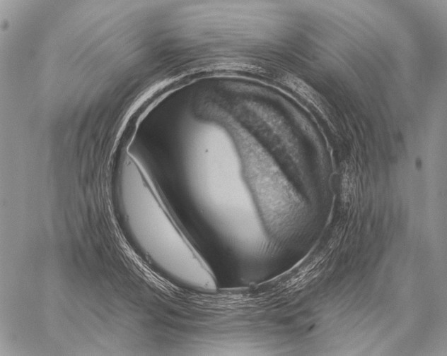 X0000059091024200510211602