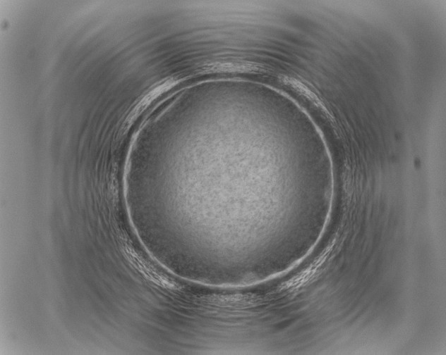 X0000059091025200510211602