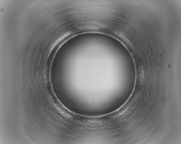 X0000059091026200510211602