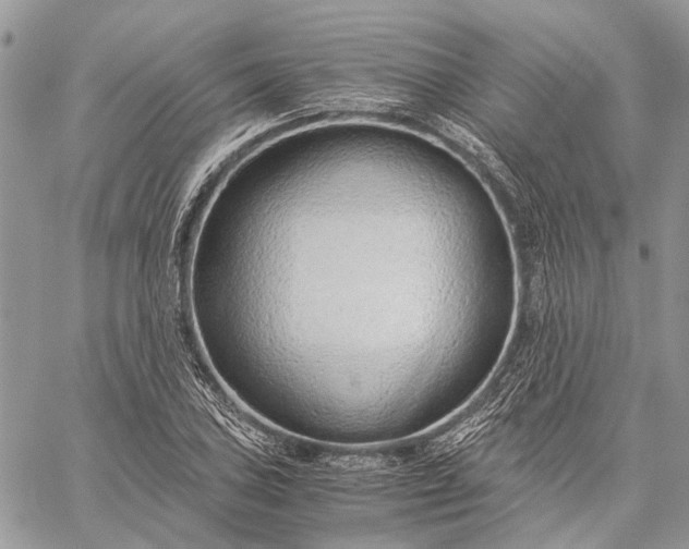 X0000059091027200510211602