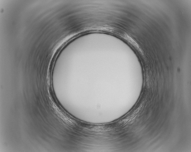 X0000059091028200510211602