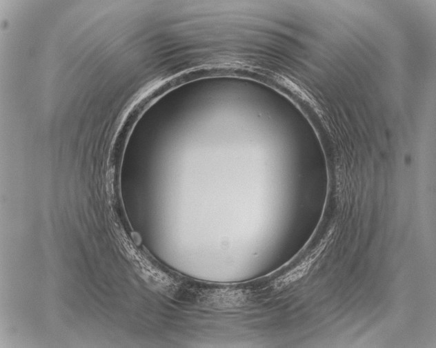 X0000059091029200510211602